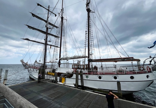 24-06-23 11-26-02 9804